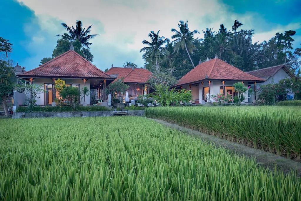 Villa Heron Ubud Zewnętrze zdjęcie